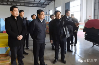 阜宁县委书记顾云岭密集调研17个镇区,都看了啥?