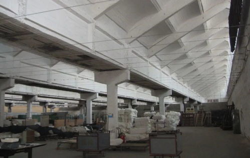 运河明珠再焕新生 丝联166与联达机械续写工业记忆