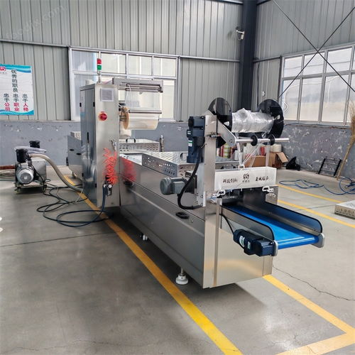 探索DZR520玉米浆包拉伸膜真空包装机的卓越性能与联达机械的专业服务